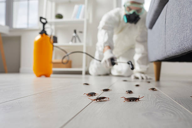 Commercial Kitchen Cockroach Control in Crosby